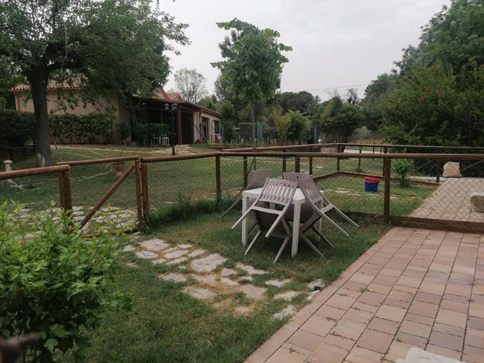 Agriturismo La Contea Senigallia Villa San Gaudenzio Esterno foto