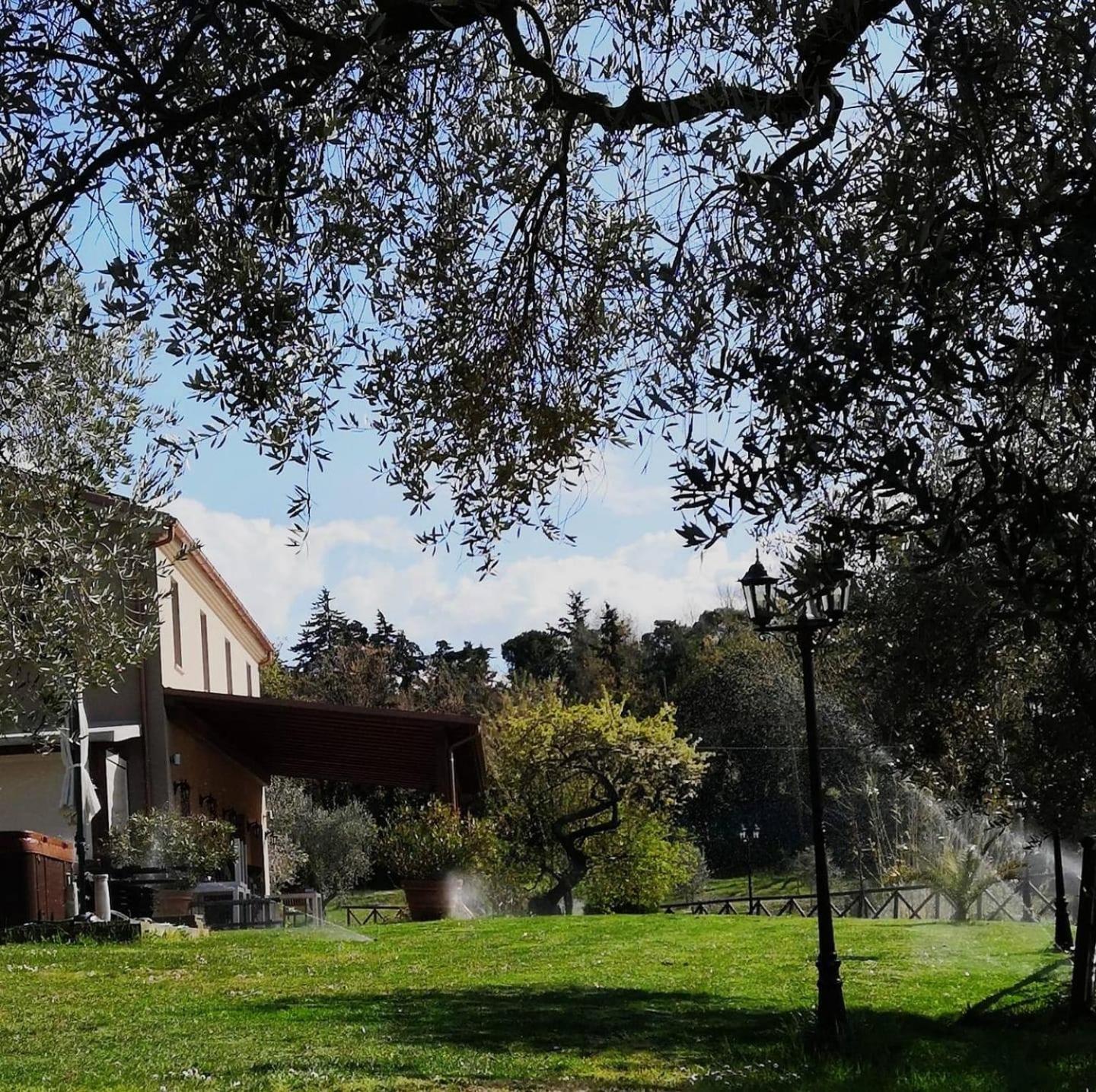Agriturismo La Contea Senigallia Villa San Gaudenzio Esterno foto